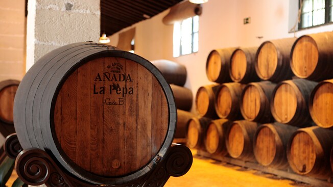A wine barrel in a cellar