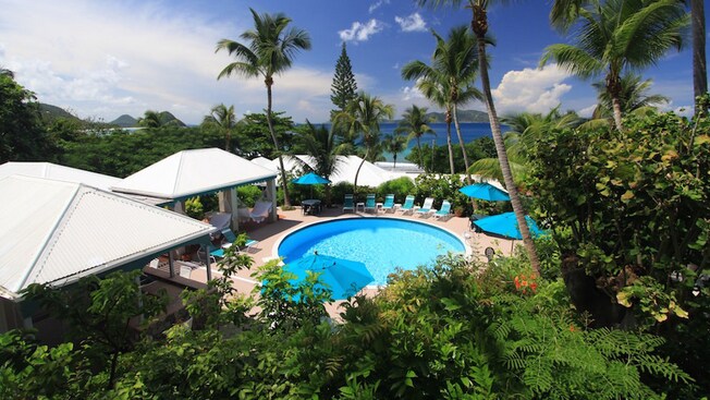 A beach setting with a circular swimming pool surrounded by tropical foliage