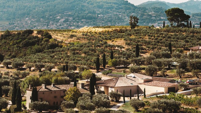 Las colinas escalonadas de la Provenza con viñedos, árboles cipreses y edificios antiguos
