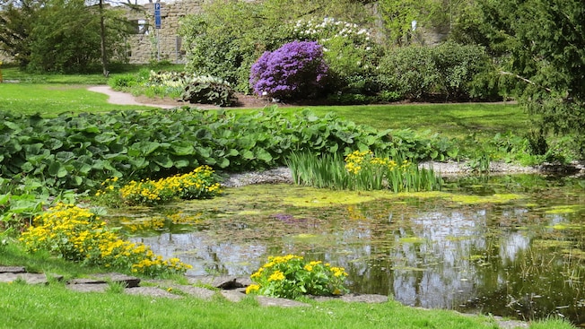 Um lago com lírios cercado por jardins e uma ciclovia Um lago com lírios cercado por jardins e uma ciclovia
