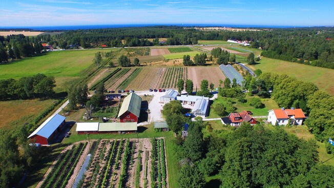 A seaside farming community with trees, open pastures and vegetable crops