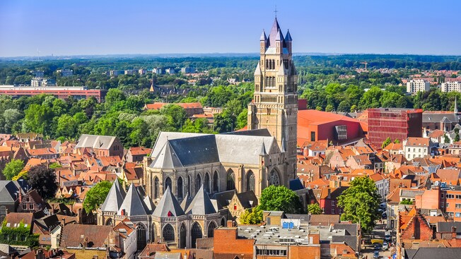 A large Gothic cathedral in a town with trees and historical buildings
