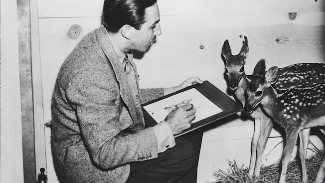 Walt Disney sits in front of 2 live deer and sketches them
