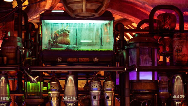 A worrt in a tank above a bar cluttered with vessels of various sizes