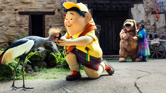 up a great bird adventure