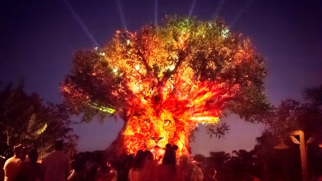 Special Event Calendars | Walt Disney World Resort