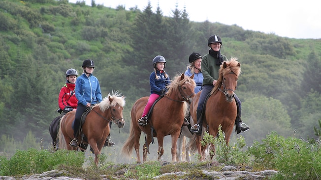 A small group of horseback riders smile as they stand amid lush vegetation A small group of horseback riders smile as they stand amid lush vegetation