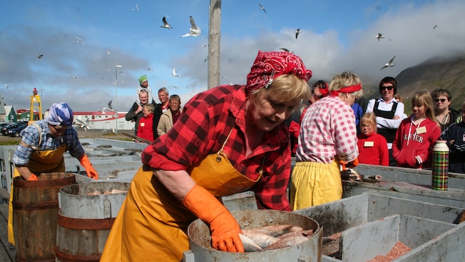 Women on a dock sorting herring while wearing aprons and rubber gloves