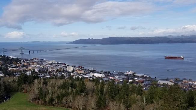 A town wedged between a forest and a bay with a ship and a bridge A town wedged between a forest and a bay with a ship and a bridge