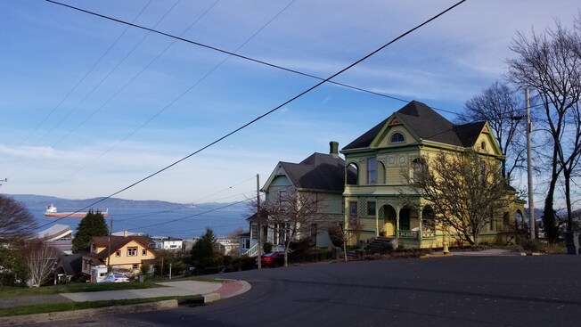 Houses on a hill overlooking a bay
