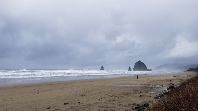 A beach near shrubs and large rocks that jut out of the surf A beach near shrubs and large rocks that jut out of the surf