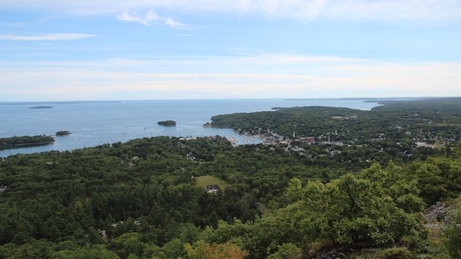 A harbor town on the edge of a forest near a marina full of ships A harbor town on the edge of a forest near a marina full of ships