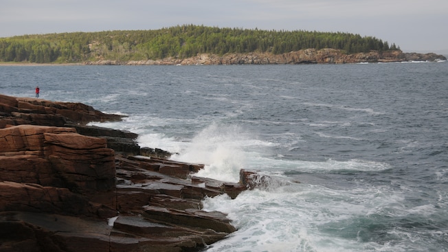 A person stands on rocks above the splashing surf near a rocky coastline covered in trees A person stands on rocks above the splashing surf near a rocky coastline covered in trees