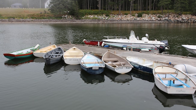 Several small boats docked in waters bordered by trees and historic coastal architecture Several small boats docked in waters bordered by trees and historic coastal architecture