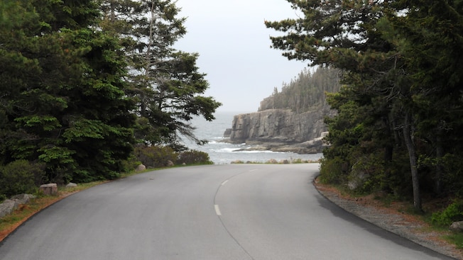 A paved road flanked by trees curves in front of a large body of water and rocky cliffs A paved road flanked by trees curves in front of a large body of water and rocky cliffs