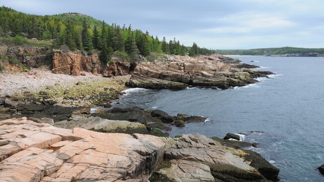A rocky coastline surrounded by hilly forest terrain