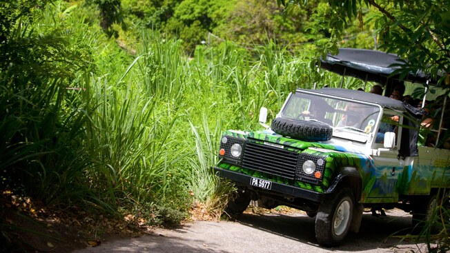 Passengers riding in an open air 4 by 4 Land Rover through a lush jungle setting