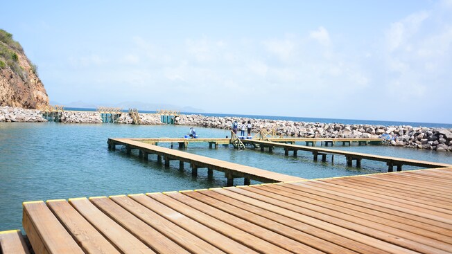 A series of wooden walkways over the water of an enclosed natural cove