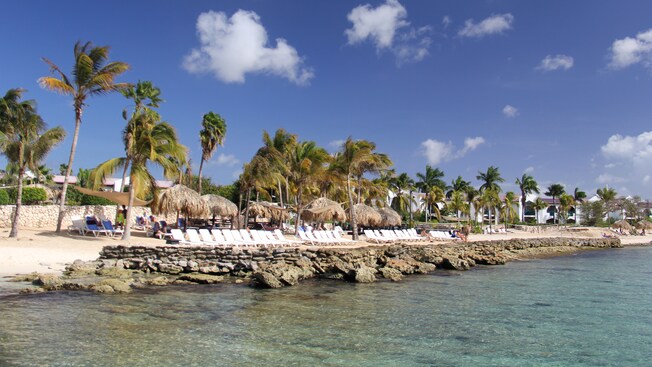 A beach with sand, a rocky shoreline, chairs, parasols, palm trees and people