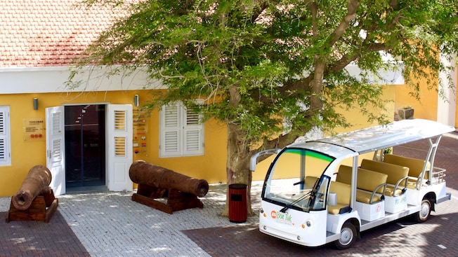 A shuttle bus near a tree, a bin and a museum with 2 rusty cannons near the entrance A shuttle bus near a tree, a bin and a museum with 2 rusty cannons near the entrance