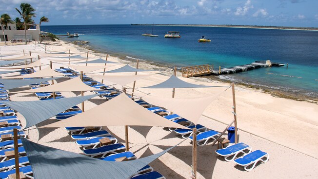 Un área de playa cubierta de camastros y toldos cerca de un muelle, barcos, un edificio y palmeras