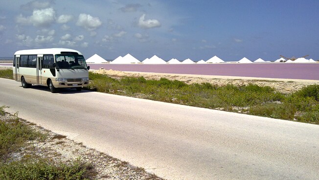 A shuttle bus drives down the road near white pyramids and shrubs