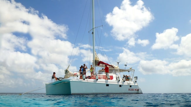 A group of people stand on a catamaran in the middle of the ocean