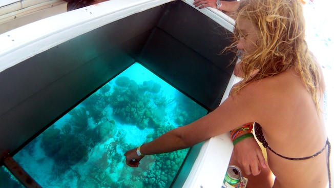 A girl points at a coral reef seen through the bottom of a glass bottom boat A girl points at a coral reef seen through the bottom of a glass bottom boat