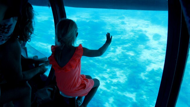 Una niña apoya la mano contra el vidrio de una cubierta de observación