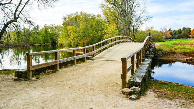 A wooden bridge crosses a calm pond by a field with trees