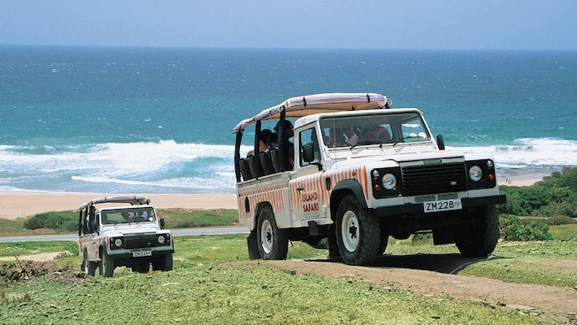 Un par de vehículos todoterreno de Island Safari suben cuesta arriba en un camino de tierra cerca del océano Un par de vehículos todoterreno de Island Safari suben cuesta arriba en un camino de tierra cerca del océano