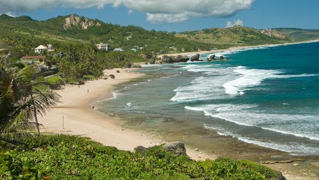 Lush trees through the hills give way to a sandy beach with rolling ocean waves Lush trees through the hills give way to a sandy beach with rolling ocean waves