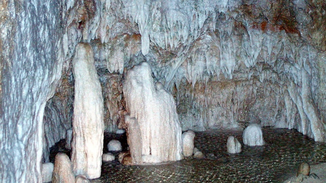 Hundreds of icicle shaped stalactites hang from the ceiling of a cave Hundreds of icicle shaped stalactites hang from the ceiling of a cave