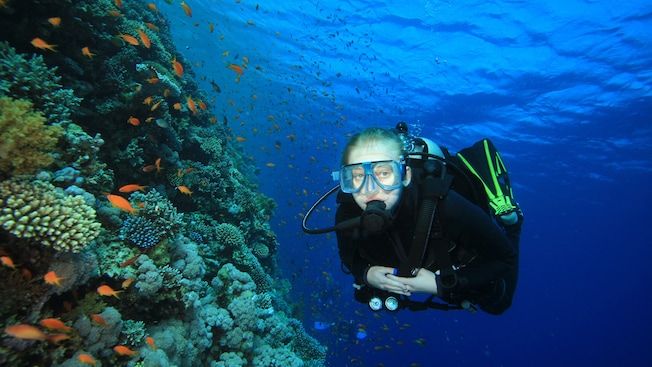 Woman in a wet suit and scuba gear floats along a coral reef populated by schools of small fish Woman in a wet suit and scuba gear floats along a coral reef populated by schools of small fish