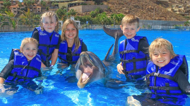 Five young kids and a dolphin show off toothy grins for the camera while in the pool