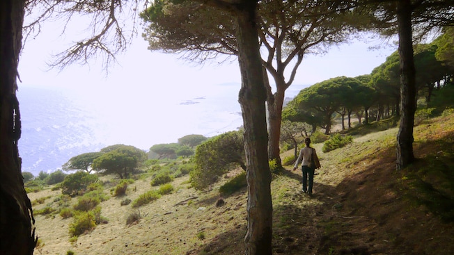 A woman hikes down a forested slope with ocean views A woman hikes down a forested slope with ocean views