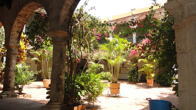 Un patio lleno de plantas de una casa estilo hacienda con los pasajes con arco tradicionales