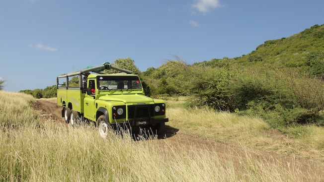 A 6-wheel truck drives down a dirt path amid tall, dry grass