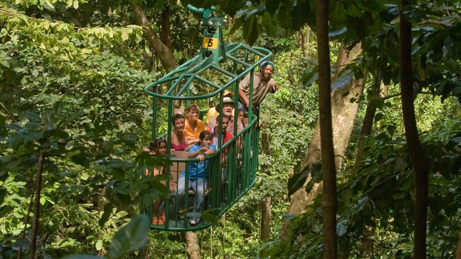 A guide points something out to passengers in an aerial tram moving through trees