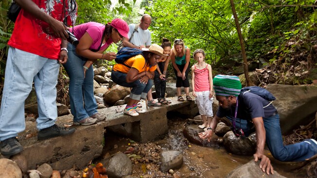 Un guía le muestra a su grupo algo interesante en el agua de un arroyo Un guía le muestra a su grupo algo interesante en el agua de un arroyo