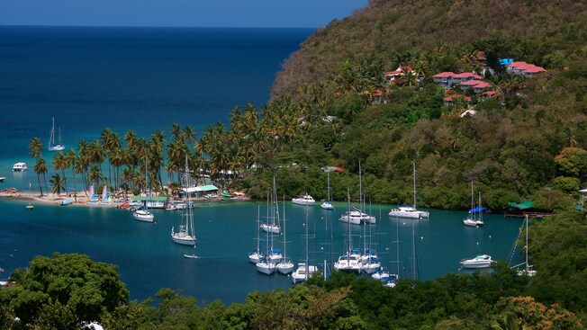 Barcos que bordean una bahía rodeada de colinas arboladas y casas