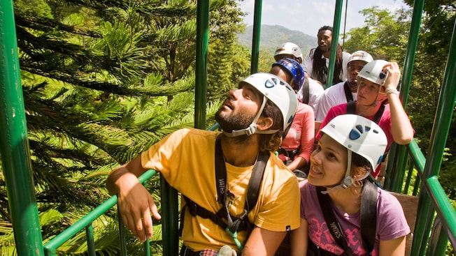 Passageiros de bonde aéreo olham para as árvores