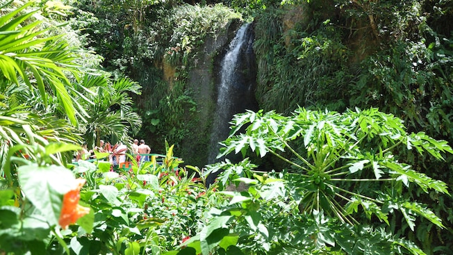 Personas en un mirador, observando una cascada en medio de árboles y follaje Personas en un mirador, observando una cascada en medio de árboles y follaje