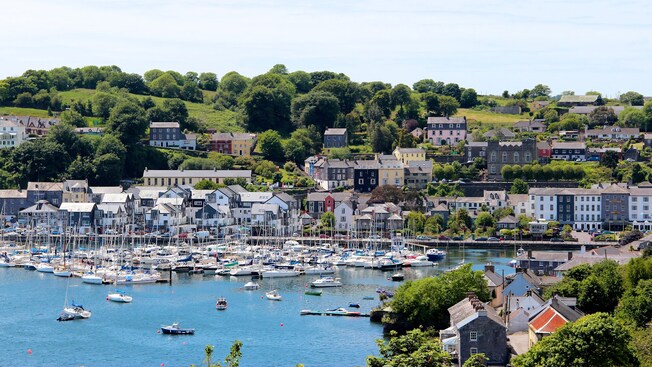 A marina full of boats near a town near a hill full of trees