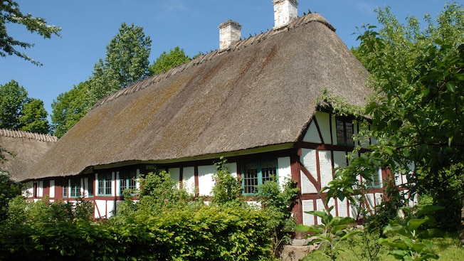 Trees and other vegetation surround a historical thatched roof house Trees and other vegetation surround a historical thatched roof house