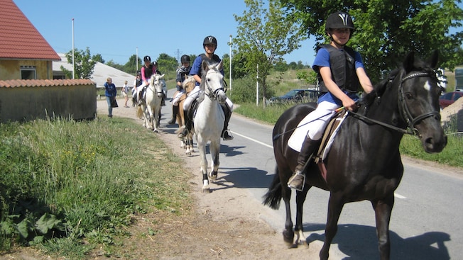 Uma procissão de crianças a cavalo em ambiente rural Uma procissão de crianças a cavalo em ambiente rural