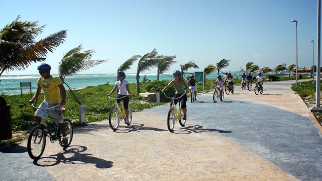 A tour group riding bicycles on a paved path alongside a palm fringed shoreline