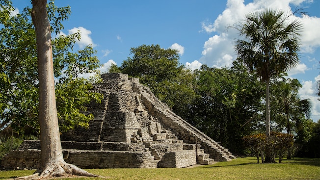 The ruins of a Mayan pyramid The ruins of a Mayan pyramid