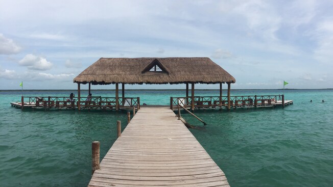 A beach featuring palm trees, palapas, umbrellas, lounge chairs, massage stations and more