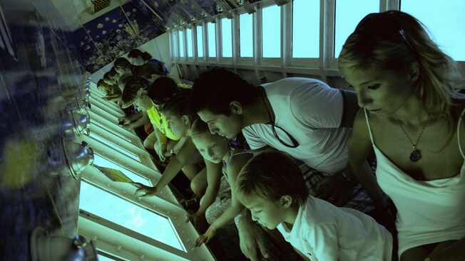 Passengers aboard a glass bottom boat observe fish and a reef through the boat's observatory windows